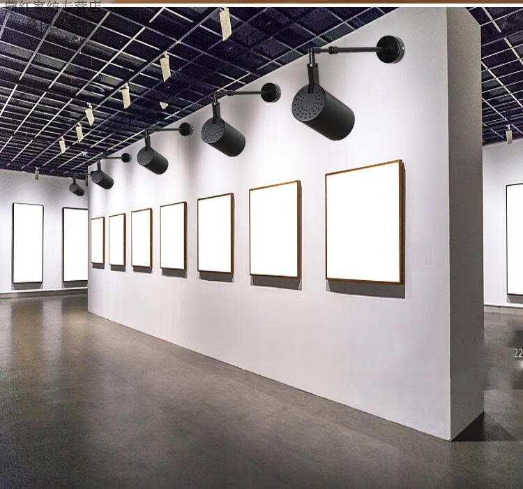 飞利浦(philips)旗舰官方同款 官方旗舰同款墙壁长杆射灯侧装led服装