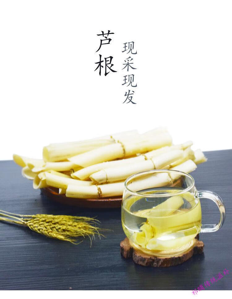 芦苇根状茎图片