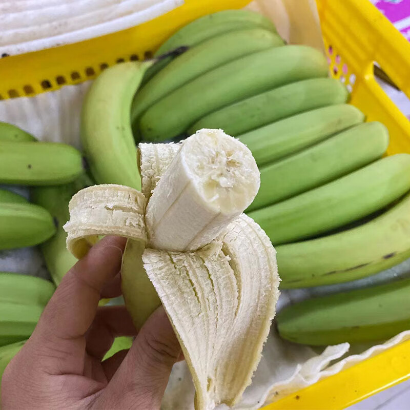 广西威廉斯青皮香蕉软糯香甜当季新鲜香蕉现摘现发整箱 高原甜香蕉