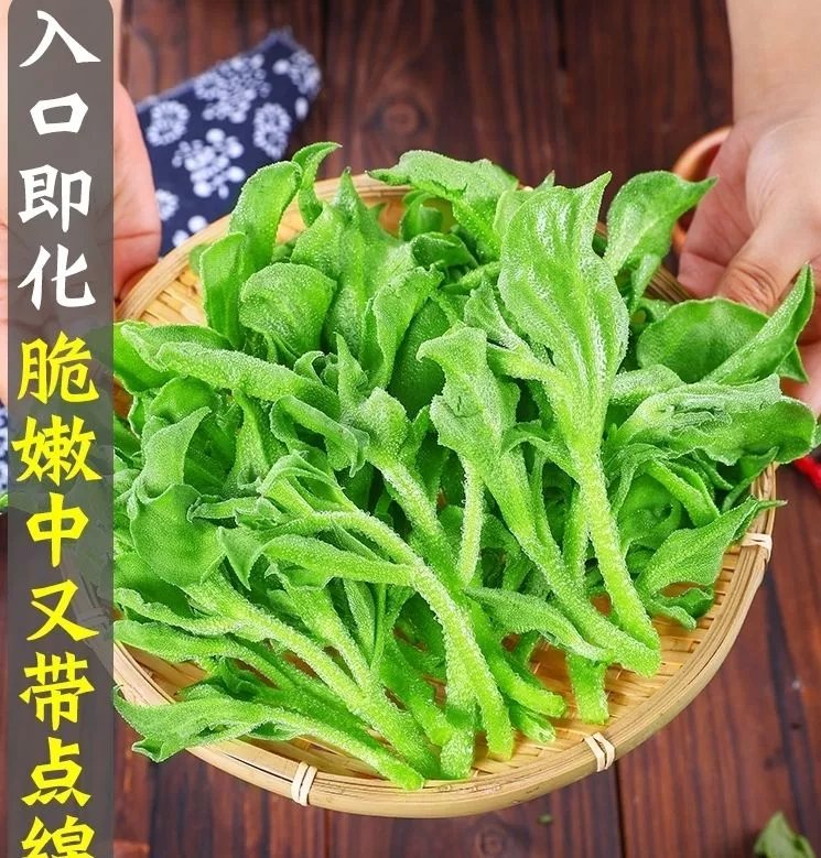 《鮮嫩冰菜》新鮮冰草冰菜即食沙拉冰葉沙拉菜新鮮冰菜冰草蔬菜 2斤冰