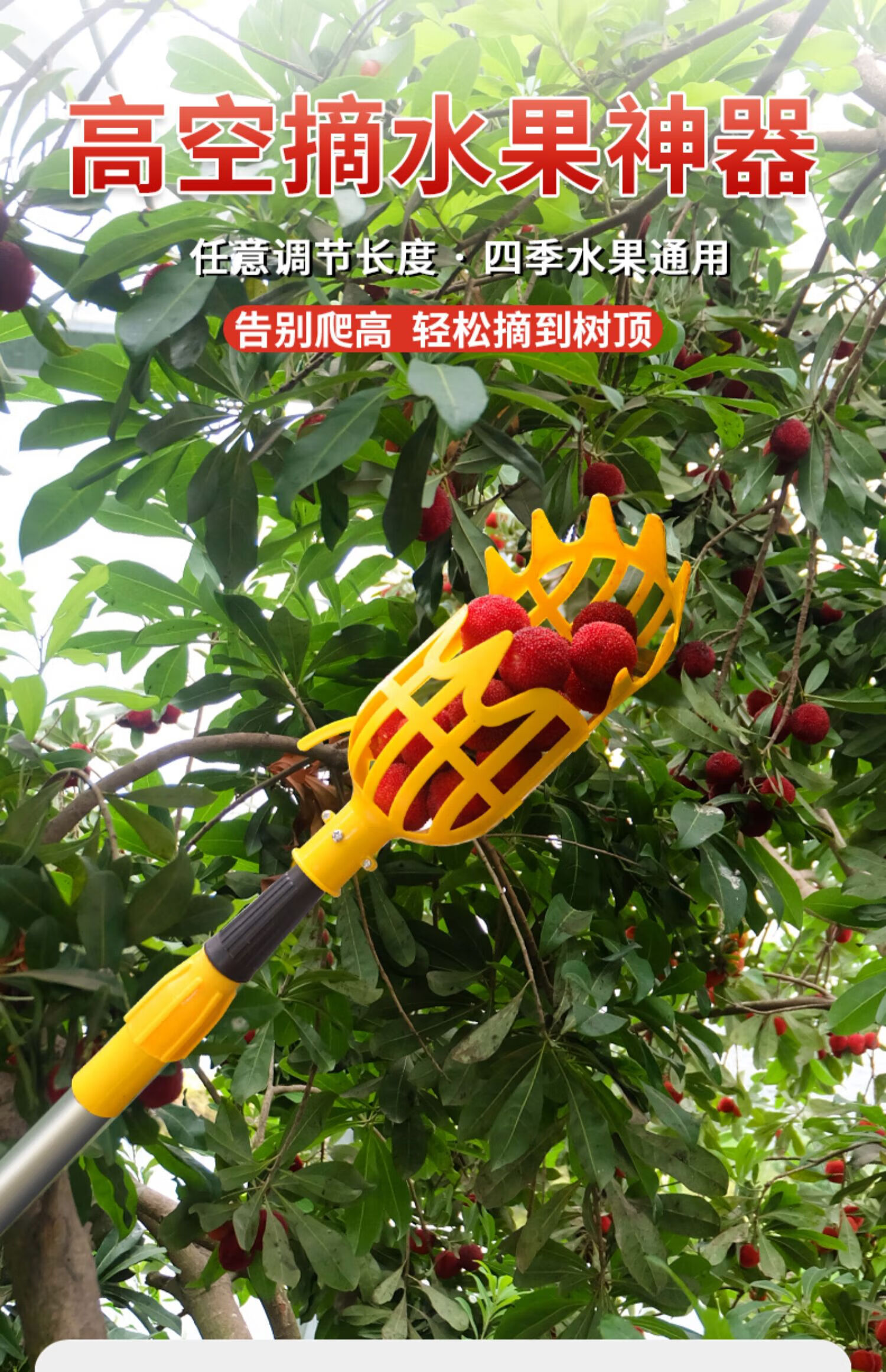 摘果神器多功能不锈钢摘果剪可伸缩杆采摘工具加厚柿子高枝芒果荔枝柿