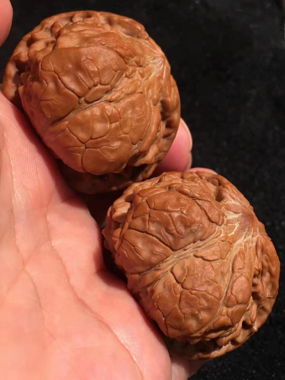 文玩核桃眼镜蛇头鹰嘴把玩手玩带毒瘤收藏级异形核桃麒麟纹麻核桃