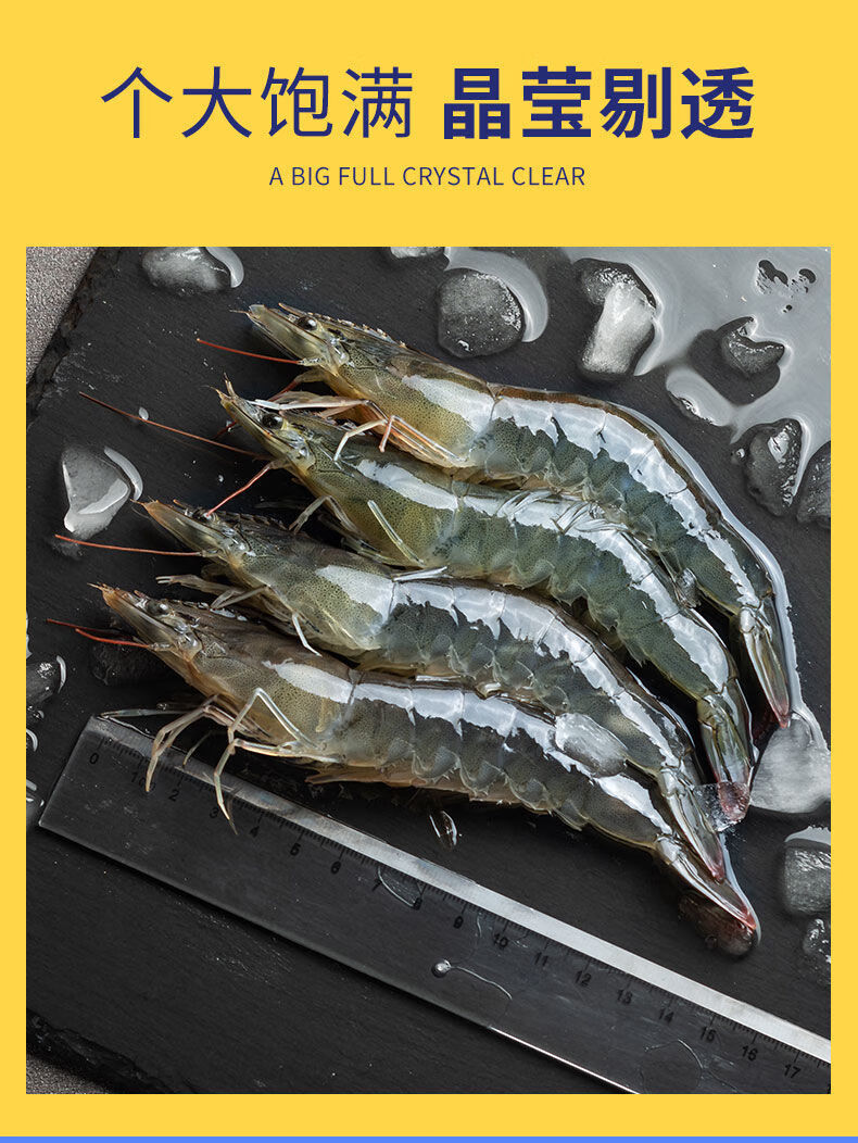 大虾鲜活新鲜冷冻超大号虾青虾对虾深海捕捞白虾鲜虾青岛大虾单只无冰