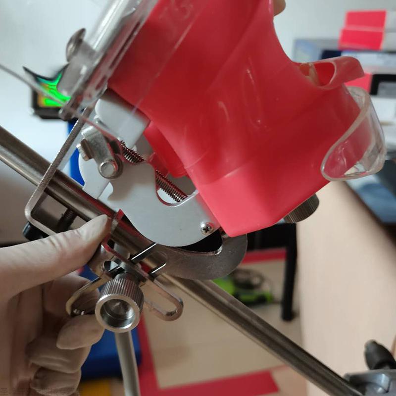 牙科口腔教学仿真模型简易头模树脂根管牙齿牙粒备牙正畸修复牙模 牙