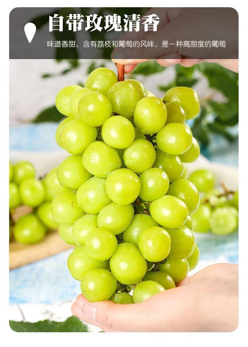 云南阳光玫瑰整串葡萄新鲜水果香印青提晴王葡萄无籽