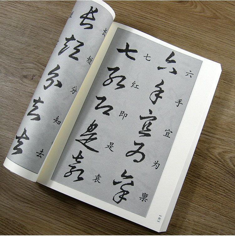 温妤wxpyu中国书法草书技法练字帖成年草书字帖练字初学者行草毛笔字