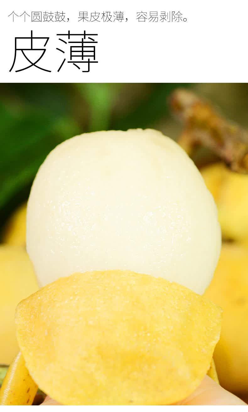 jd顺丰多地隔日达高端品种5斤贵妃白玉枇杷白贵妃枇杷白梨枇杷新鲜