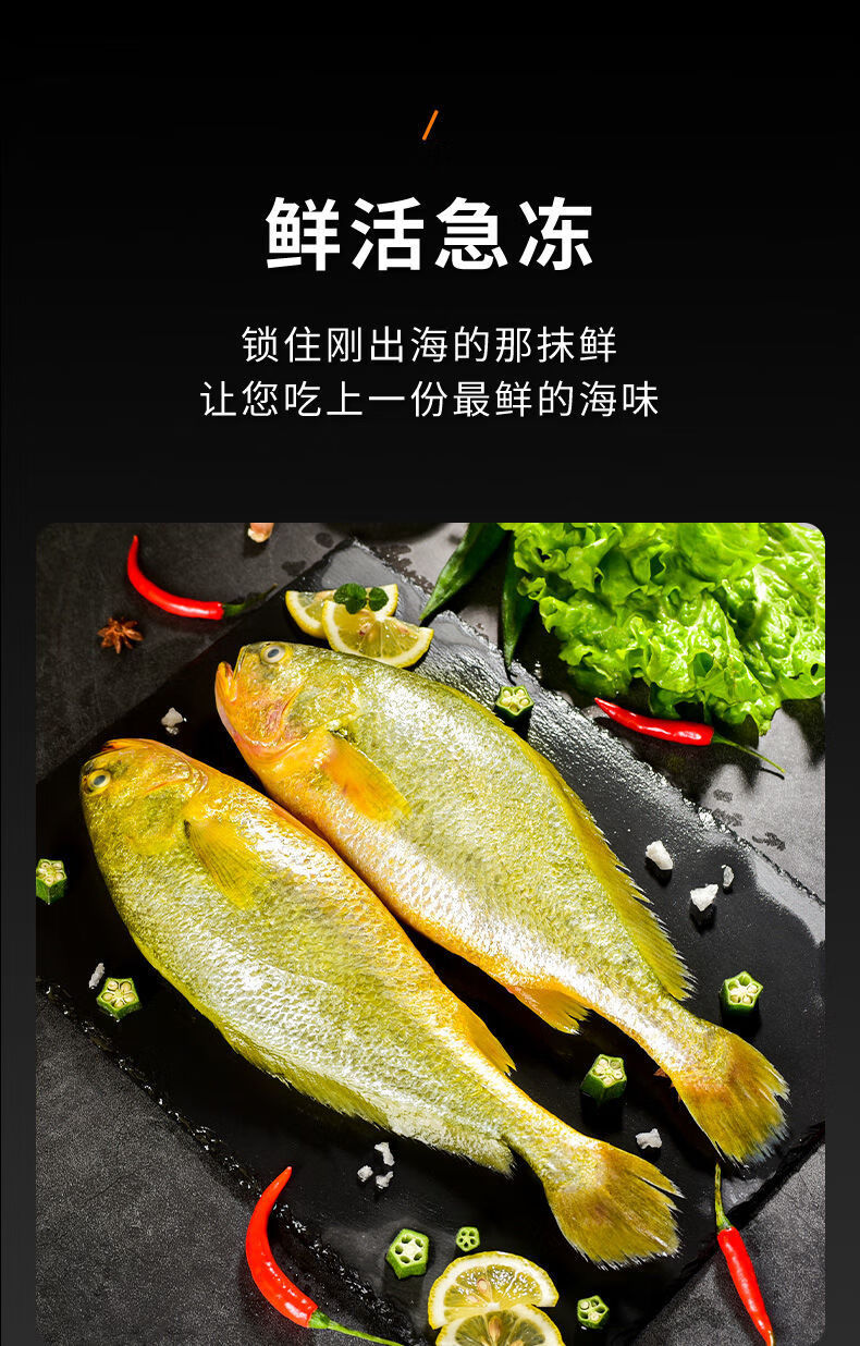 特大黄花鱼深海黄鱼新鲜现捕冷冻鲜活黄花鱼深海鱼海鲜5条真空包装无