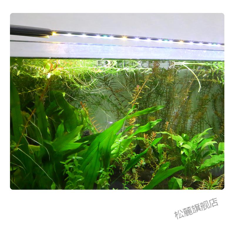 2022新款水草灯led全光谱鱼缸灯照明防水草缸爆藻灯夹wrgb专用观赏灯
