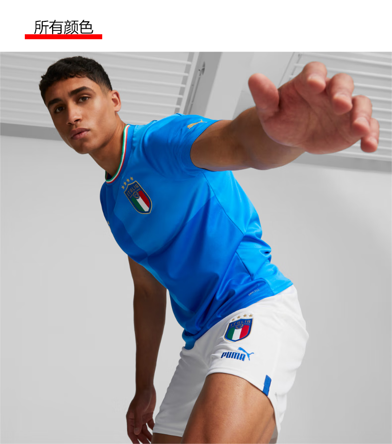 彪马(puma) 男子意大利国家队主场球衣球迷版t恤 figc 765643 蓝色-深