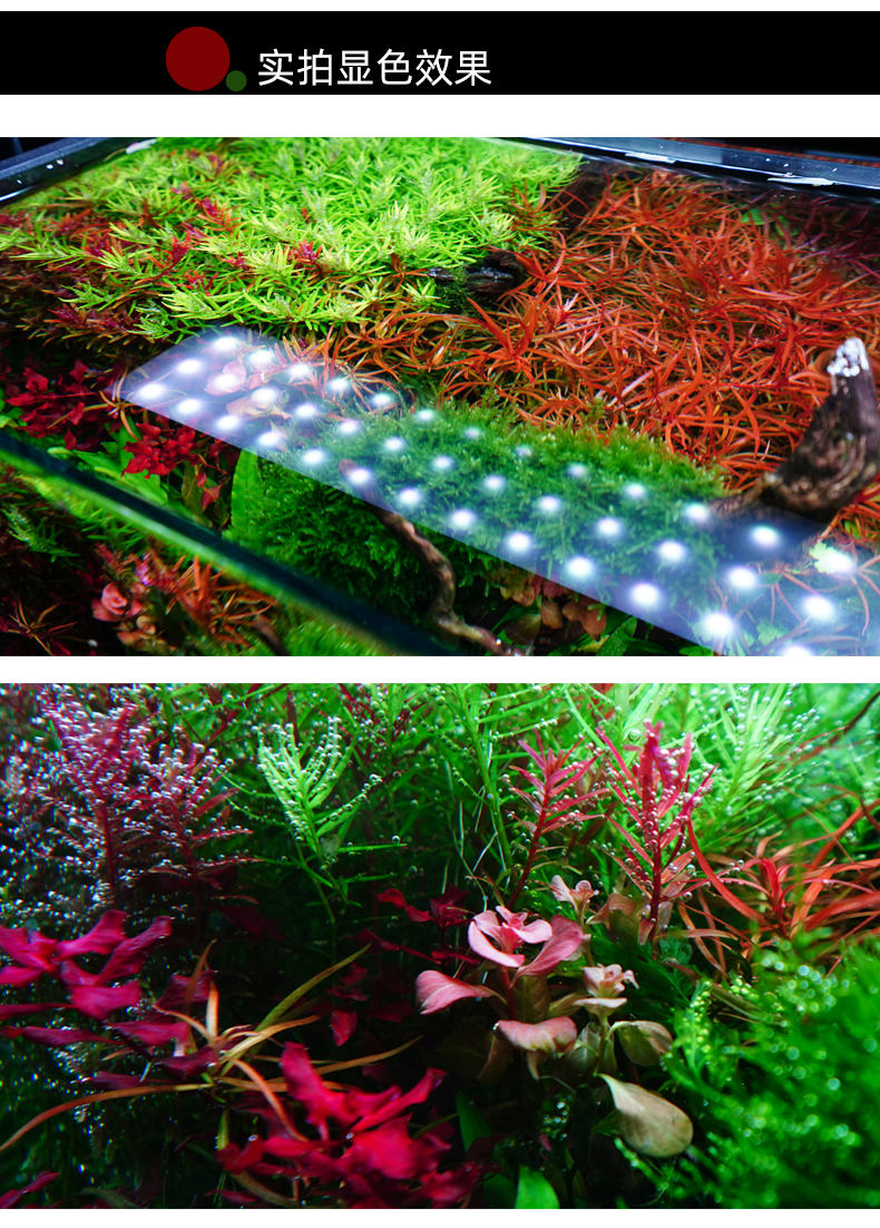 水草灯魔点rgba系列[肥鱼]魔点水草灯rgb b系列水草灯全光谱led草缸灯