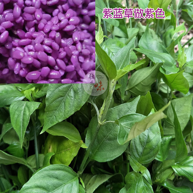广西五色糯米饭材料五色糯米饭植物染料广西天然染米染饭草三月三紫