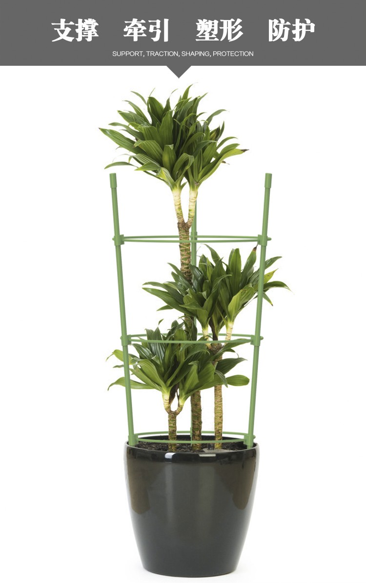 亲居爬藤架花架子花支架月季植物室内护叶架花卉支撑杆园艺铁线莲爬藤