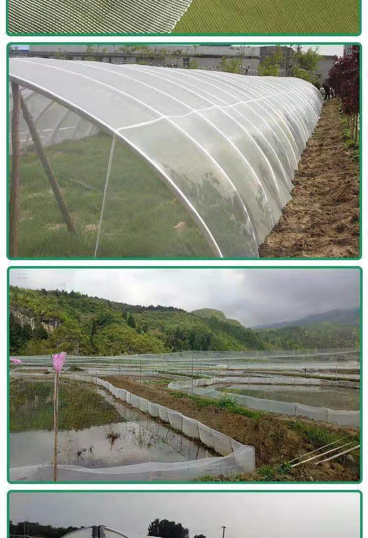养猪场防蚊网大棚专用蔬菜脐橙莲雾防虫网养殖场围网抗老化纱窗网 2.