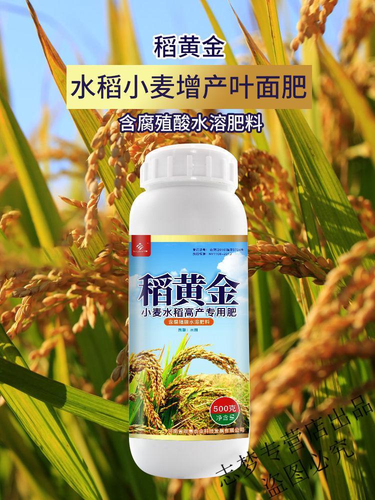 水稻叶面肥增产返青快促分蘖穗粒饱满抗倒伏水稻增产高产水溶肥 500g*