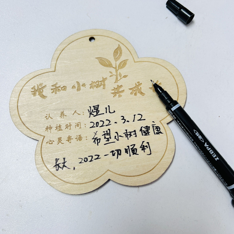 植树节挂牌植树节树牌10片定做木质挂牌 学校植树节吊牌 树木认养牌 