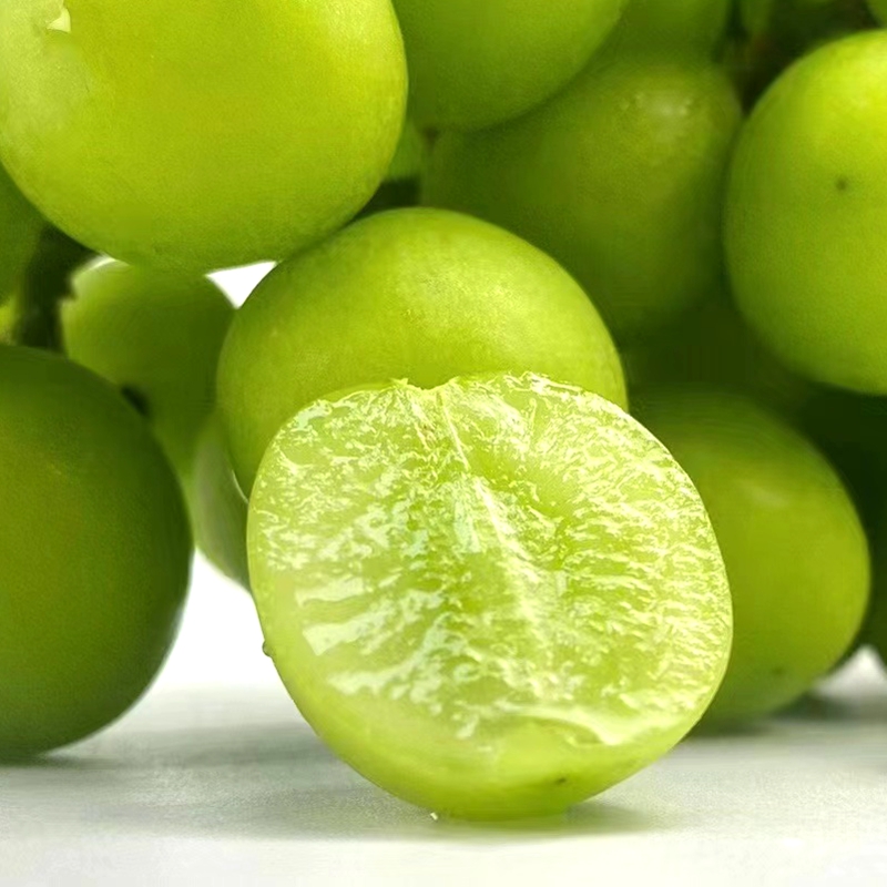 楼铁源晴王级礼盒葡萄品种阳光玫瑰香印青提顺丰【坏果包赔】 2000g【