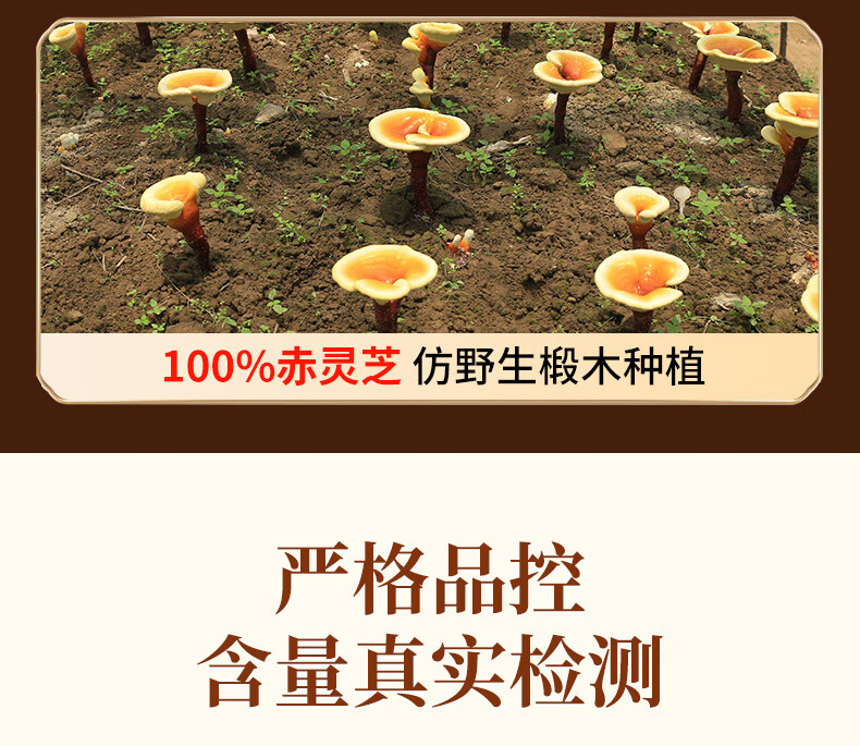 f209dd8c04db5b9a.jpg