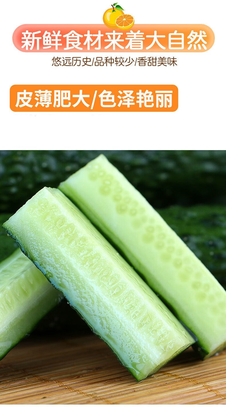 黄瓜蔬菜正宗高山新鲜刺黄瓜绿瓤生吃清脆可口农家现摘3斤装