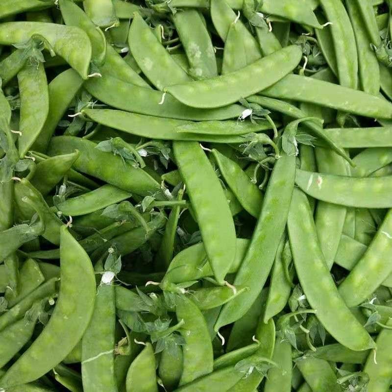 豌豆荷兰豆自家种植云南新鲜现摘豌豆角农家豌豆2斤装