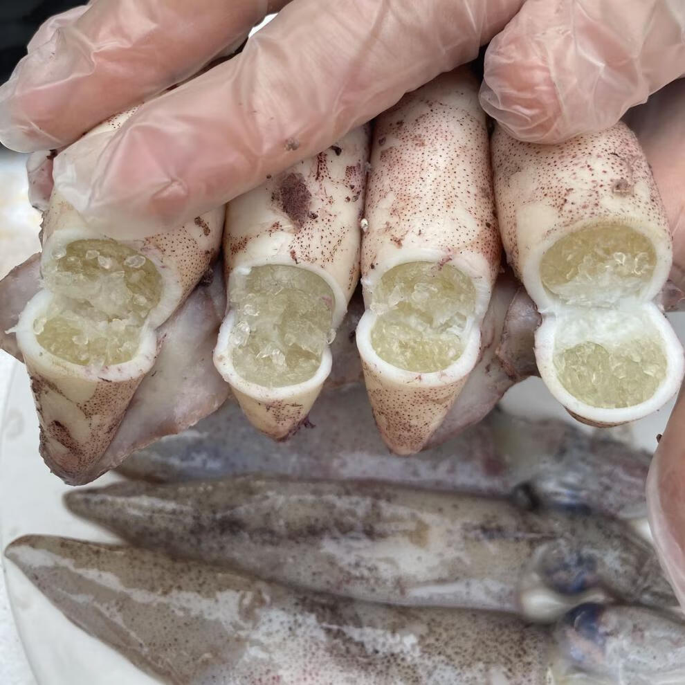 新鲜带籽大笔管鱼满籽小海兔子鲜活全籽籽乌冷冻带膏乌贼海鲜水产 2斤