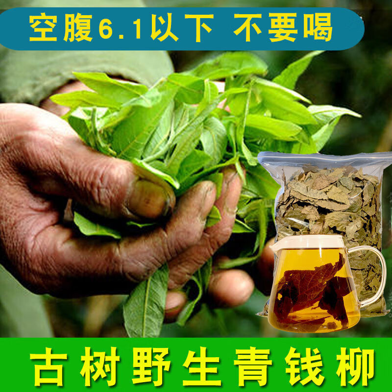 野生青钱柳原叶茶江西修水古树清金钱柳降三糖血高养生茶青钱柳茶