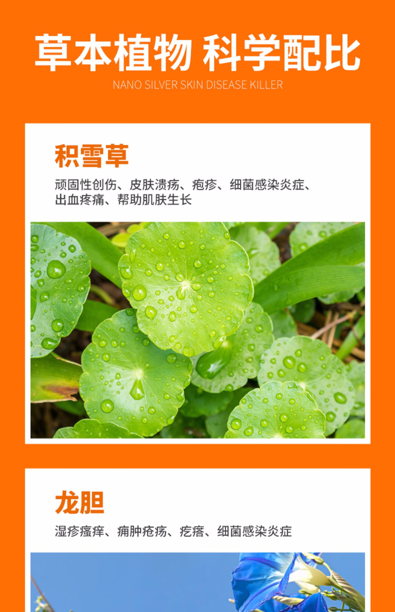oimg 普1安特肤诺恩喷剂猫癣专用药狗真皮肤病狗癣猫藓外用猫咪黑下巴