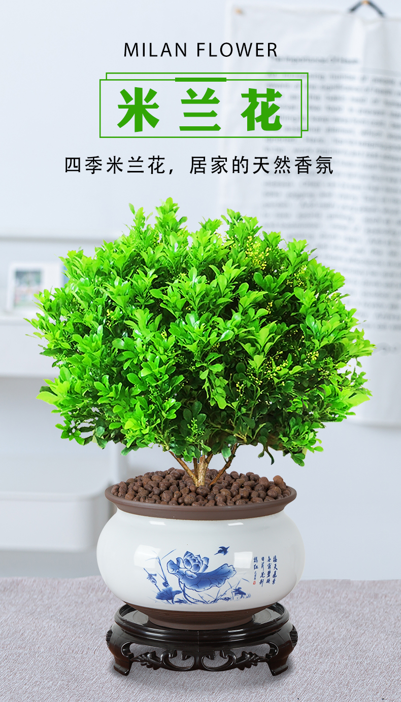 2e98915d02b5a967.jpg