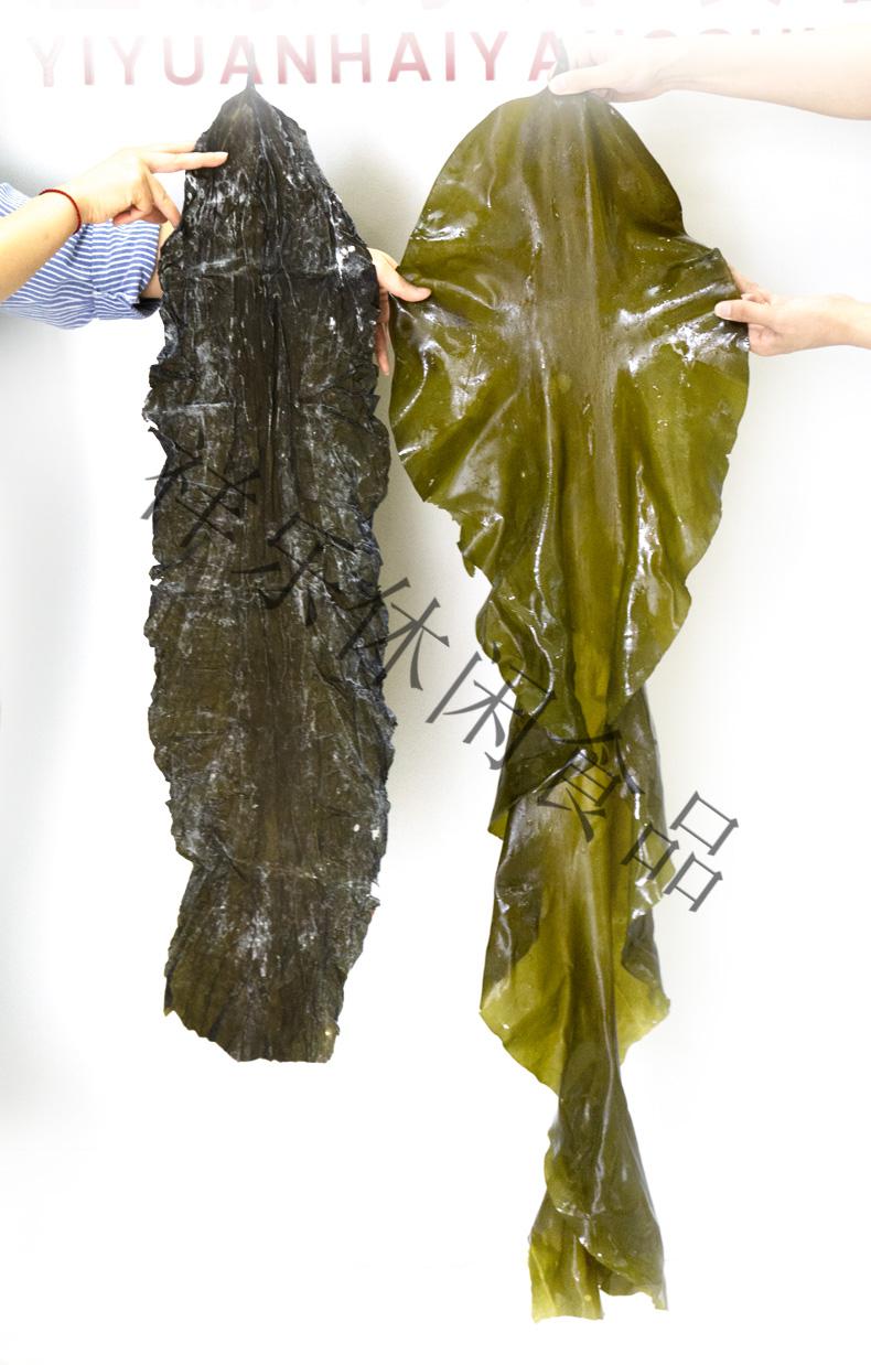 溢源海带风淡干日晒海带板片皮干货500g原味南方海带火锅食材批发