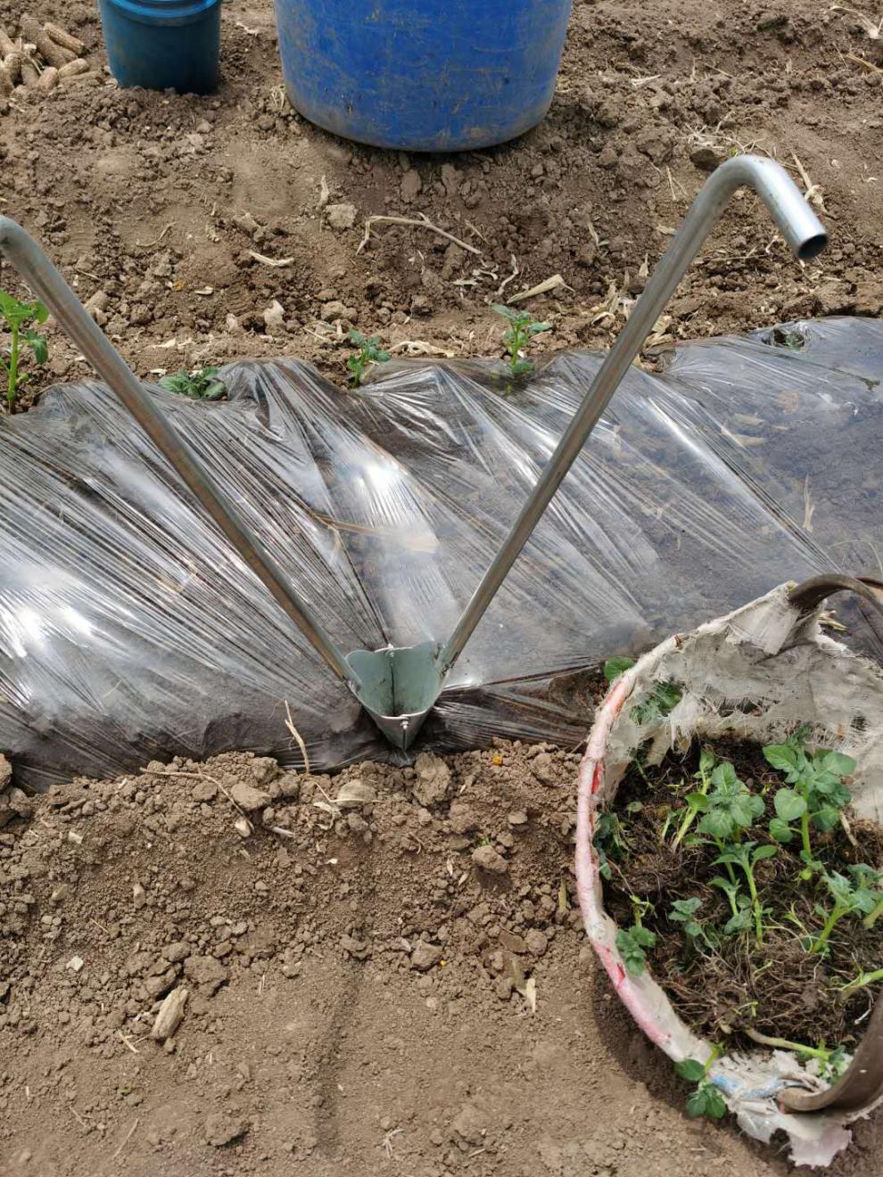 栽苗器移苗器加厚带脚蹬多功能种西瓜豆角番茄土豆辣椒苗神器移植 无