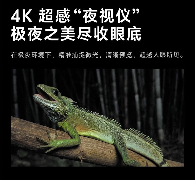 d00a7016d8294394.jpg
