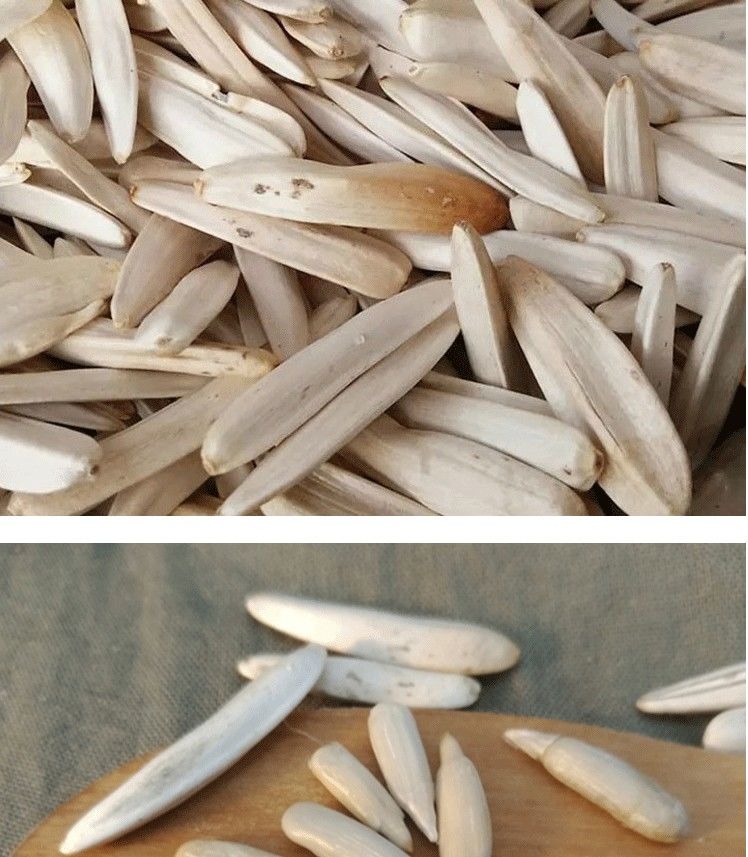 新货新疆特产阿克苏马牙白瓜子散装细长白皮瓜子牙签瓜子葵花籽生瓜子