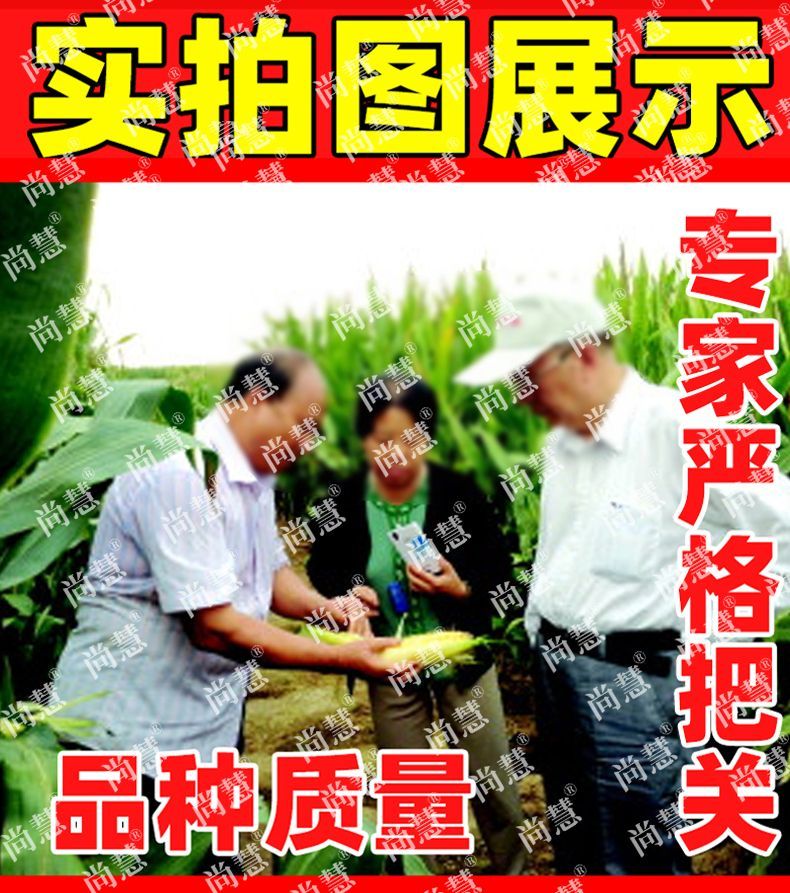 817ee5b453a829fc.jpg