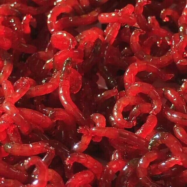红虫活饵鲜红虫鱼虫红虫子鲜活蚊子活虫线虫血虫活饵赤虫活的冰鲜红虫