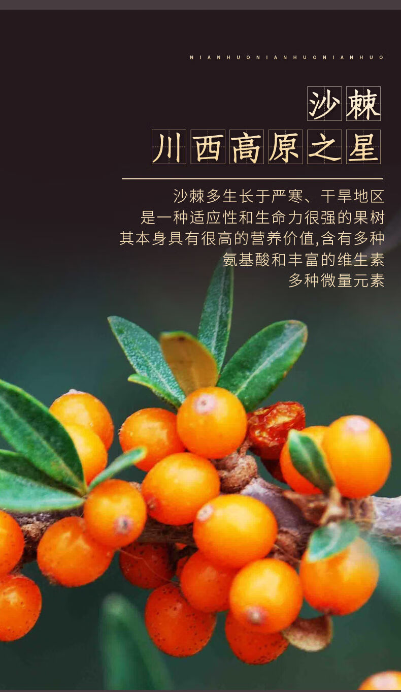 娘山沙棘果香型固体饮料1600个g袋四川特产四姑娘山维c沙棘果香型固体