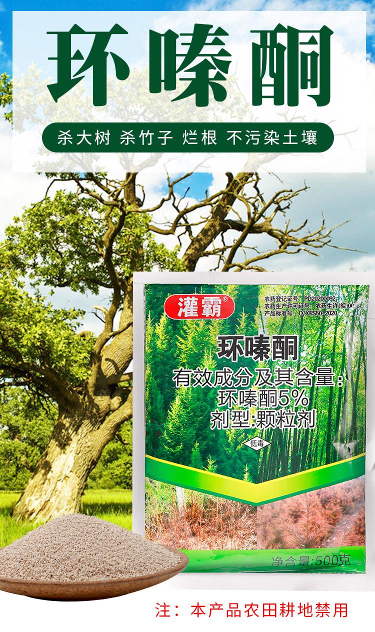 灌霸环嗪酮落叶剂除树剂杀树王杀死树的药除竹子剂大树烂根除草剂500g