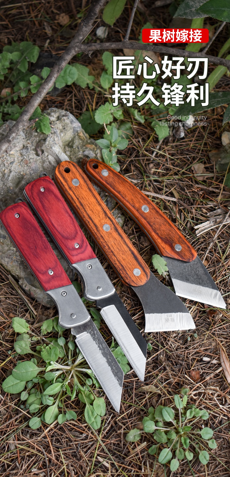 嫁接刀嫁接专用刀果树接树工具特种钢锋特级芽接神器套装折叠款锋钢直