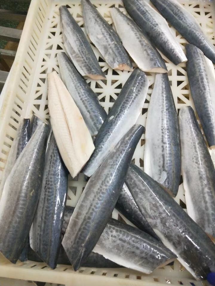 轻恋鲅鱼片新鲜冷冻大鲅鱼马鲛鱼水饺馅海产冻鱼批发 二斤装【家庭装