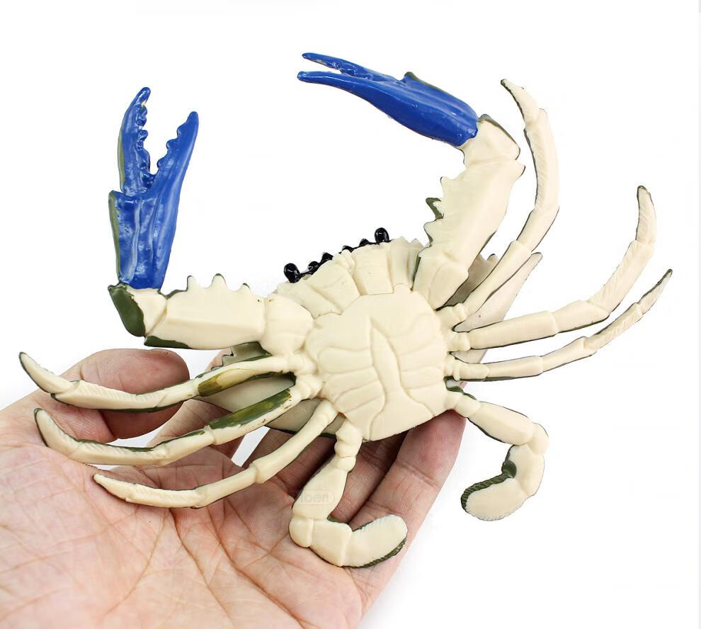 迷你史前海洋生物仿真动物模型塑胶螃蟹玩具梭子蟹蜘蛛蟹儿童认知男生
