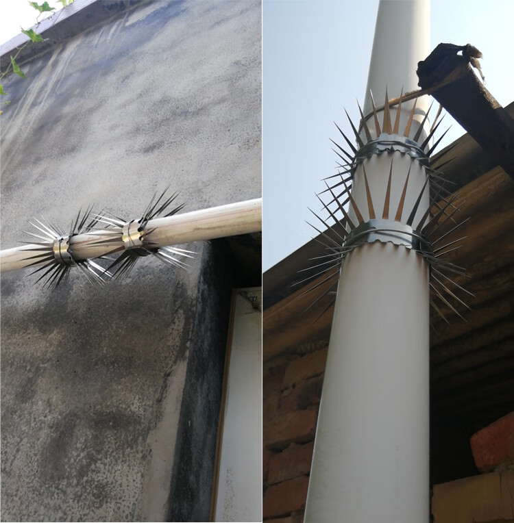 水管防鼠爬刺防老鼠爬水管神器除鼠防猫防蛇外墙天然气管道防鼠 大号