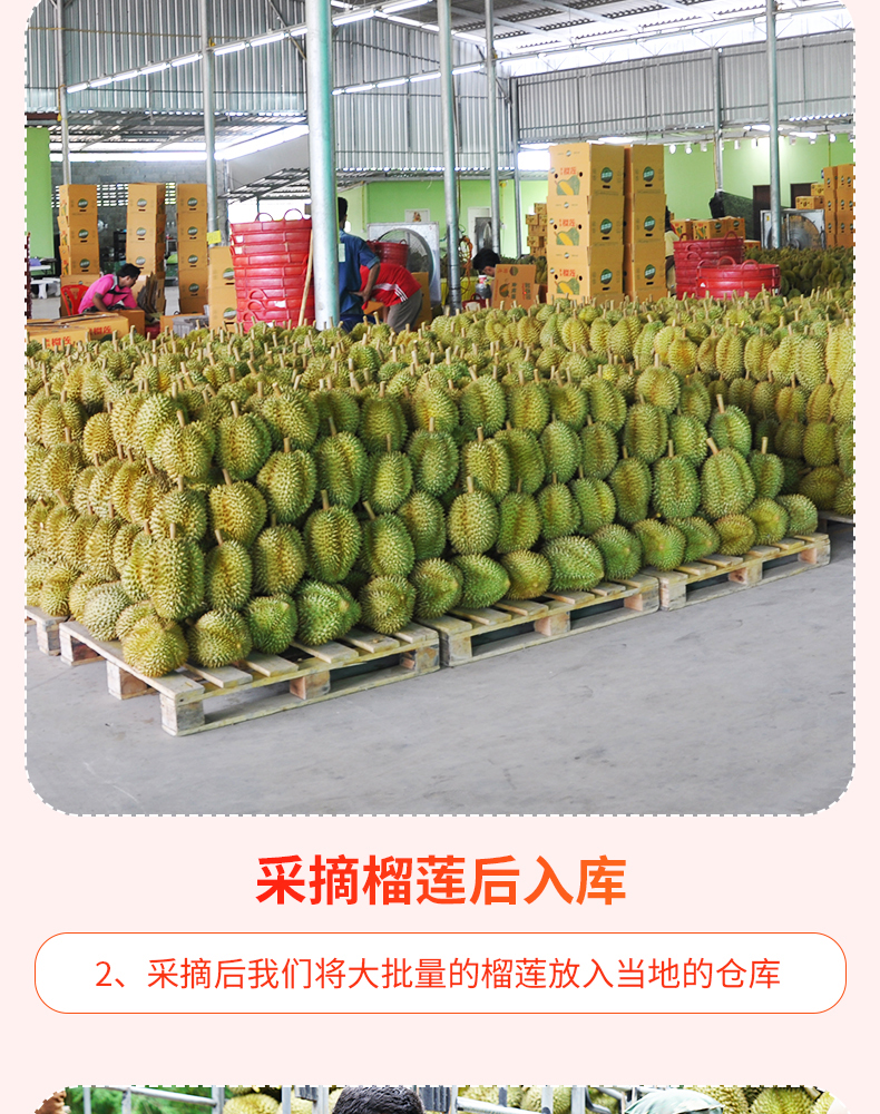 d968311cc609e0d0.jpg
