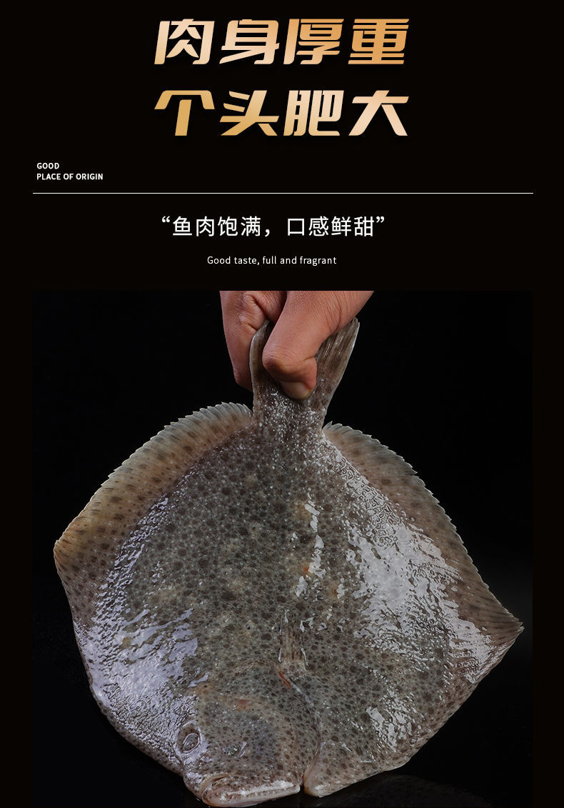 迈啃吱maikenzhi鲜活多宝鱼新鲜比目鱼大菱鲆海鲜鱼类批发水产速冻