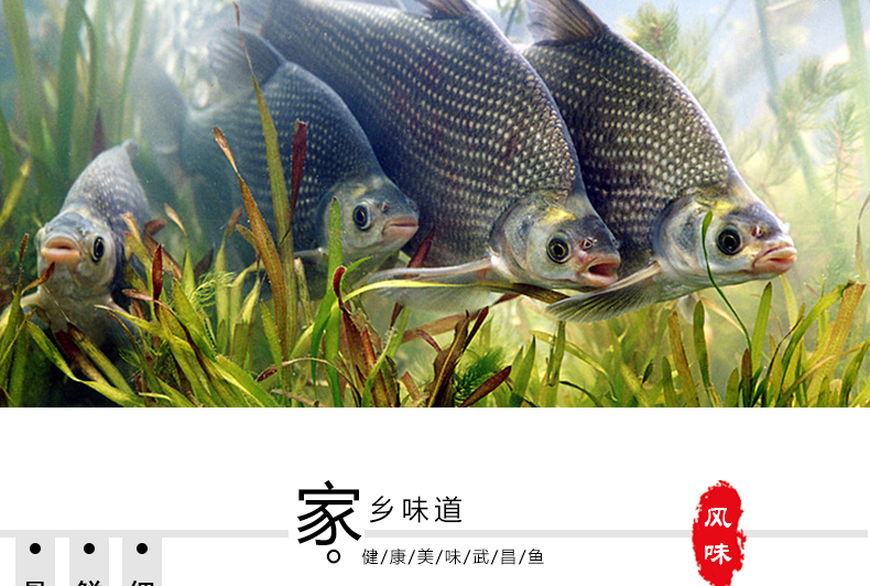 湖北特产鄂州武昌鱼258g风干鱼整条腌鱼腊鱼熟食即食鱼肉零食红烧味