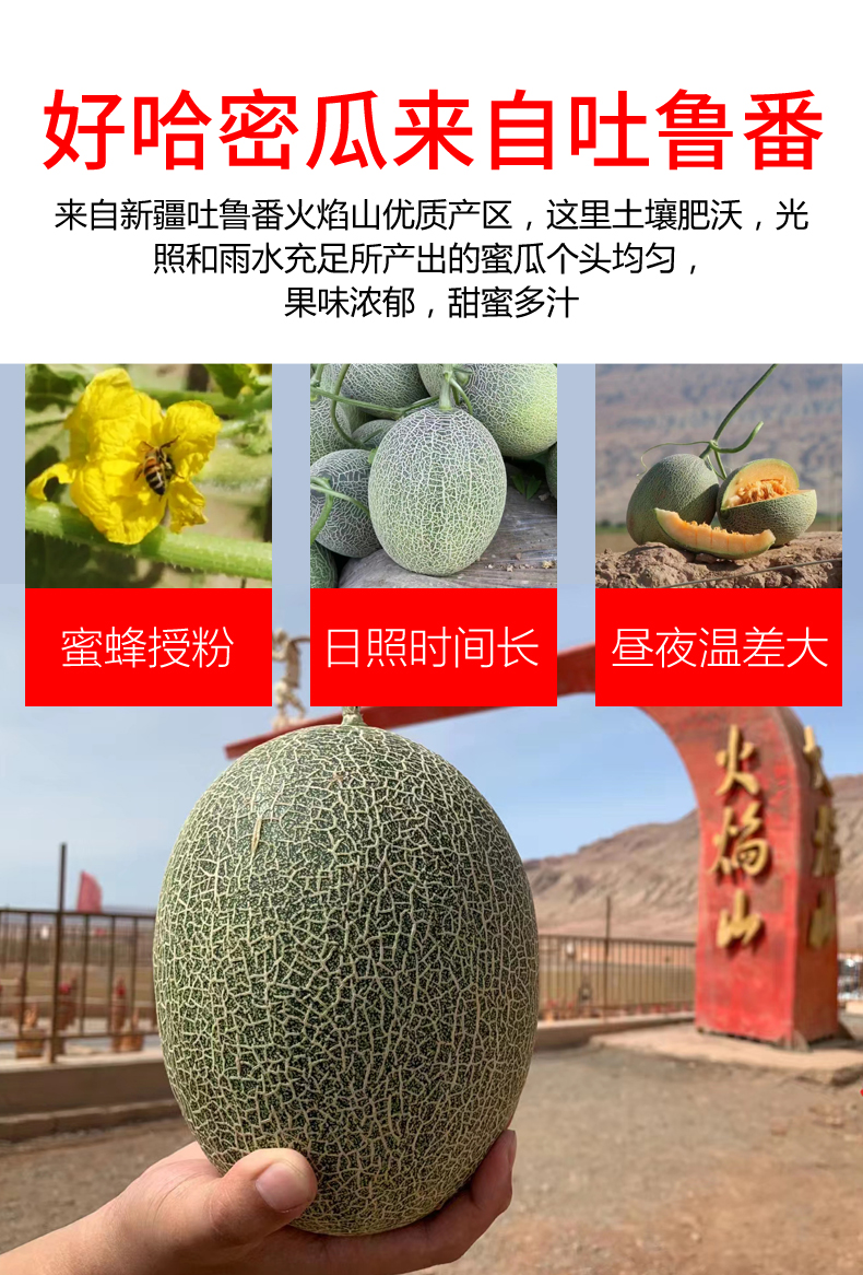 香馜 吐鲁番火焰西州蜜瓜25号新鲜水果10原产地发货整箱 大瓜 4个