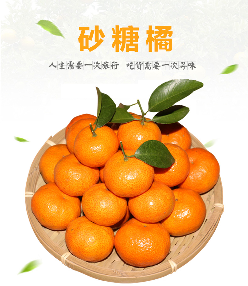 橙伯乐广东四会砂糖橘10斤小蜜橘桔子水果纯甜皮薄新鲜水果3斤