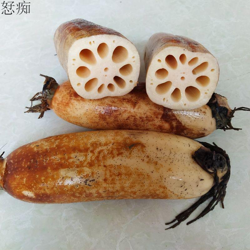 煨汤粉藕湖北莲藕新鲜煲汤藕炖汤粉莲藕粉糯香甜野藕面藕净重3斤小藕