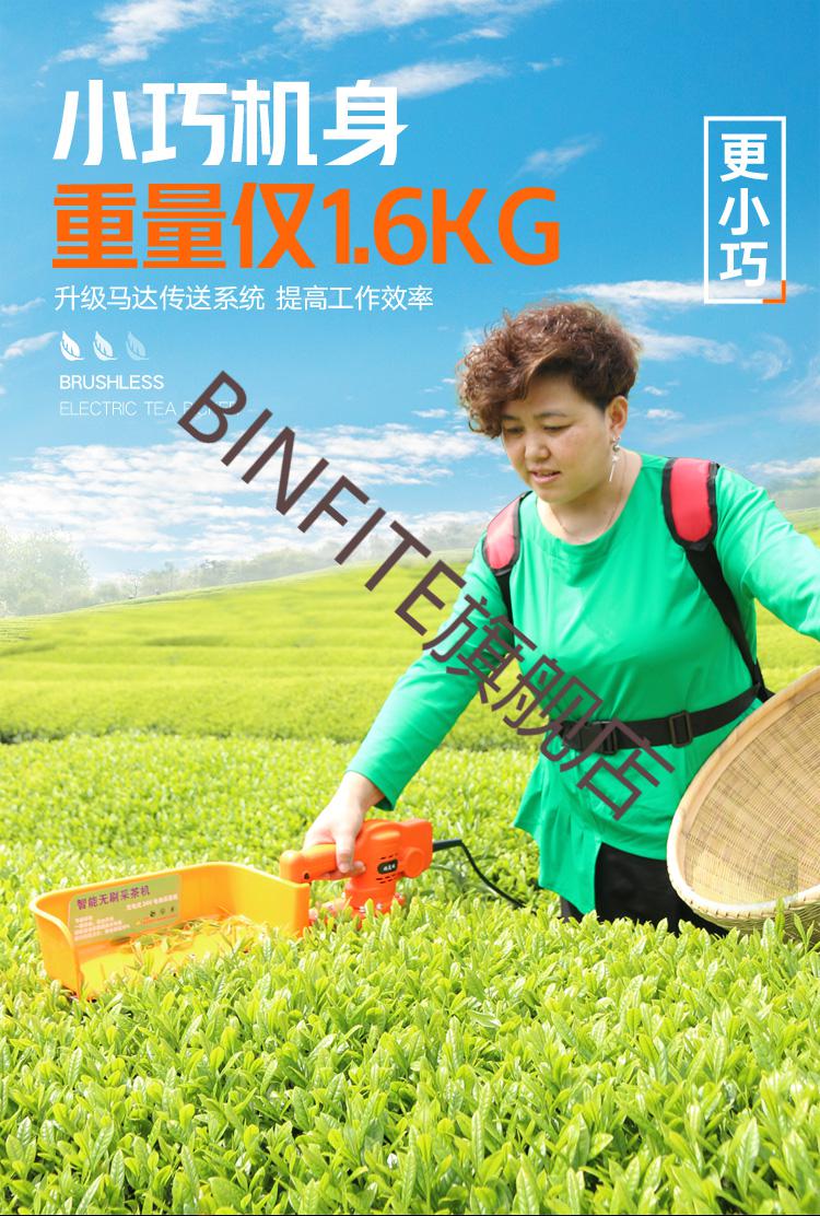 电动采茶机无刷单人便携式小型迷你修剪机充电式绿篱机茶叶采摘机无刷