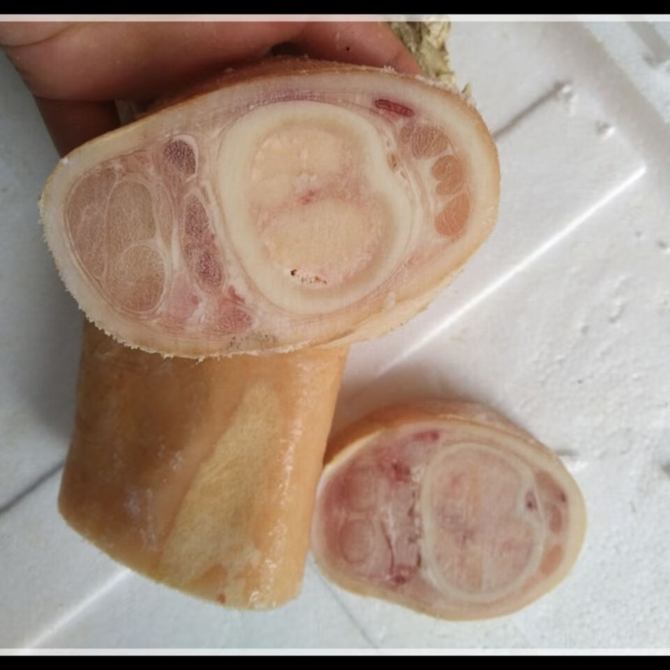 新鲜黄牛蹄生牛蹄子牛脚牛腿整根原切带筋骨炖汤红烧火锅二三王牛新鲜