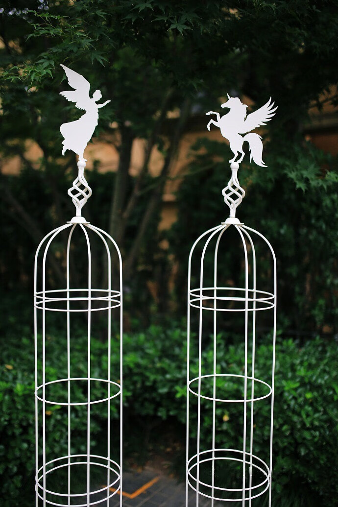 沐子哥的庭院鸟笼架特大号藤本月月攀爬架铁线莲花园阳台淡果绿飞鸟特