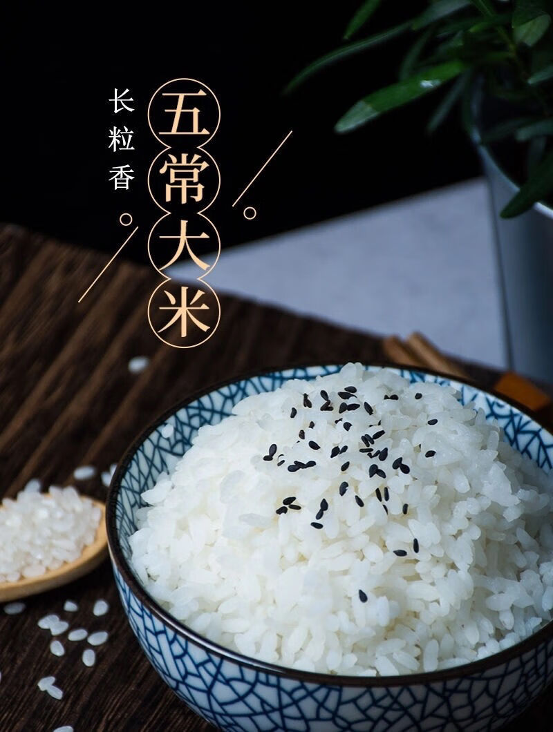 义稻香米 10斤 【义稻长粒香大米】黑龙江省五常东北大米 特优好米
